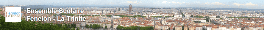 Ensemble scolaire Fénelon la Trinité à Lyon (69)