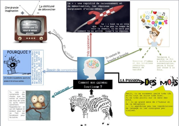 Haut potentiel - Comment mon cerveau fonctionne ?