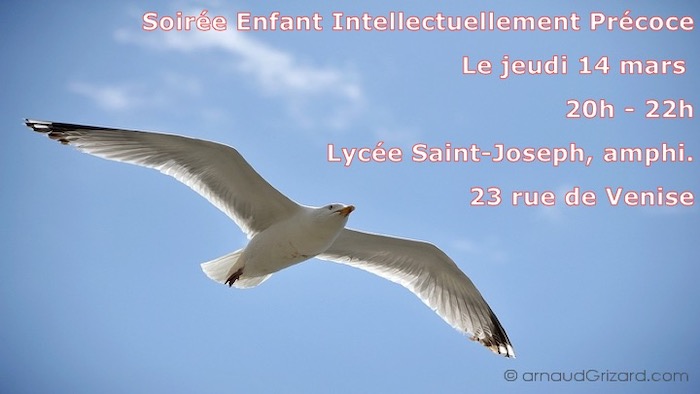 Soirée Enfant Intellectuellement Précoce : Comment le reconnaître et l'accompagner ?
