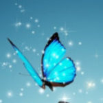 Illustration du profil de Ahlem Ayadi