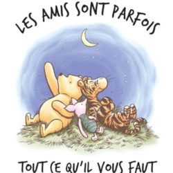 Illustration du profil de vachou