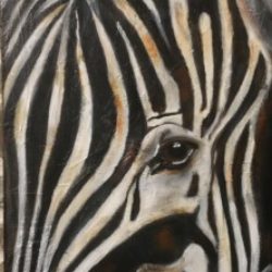 Illustration du profil de Il etait une fois un zebre