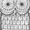 Illustration du profil de tichoupat