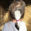 Illustration du profil de Chacha