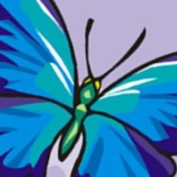 Illustration du profil de lespetitspapillons