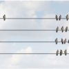 Illustration du profil de Atypic.kids63