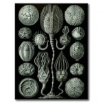 Illustration du profil de septfondesetoiles
