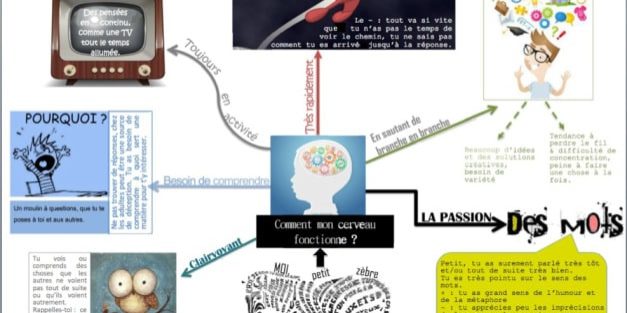 Haut potentiel - Comment mon cerveau fonctionne ?