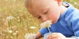 Enfant odorat